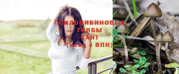 кокаин перу Аркадак