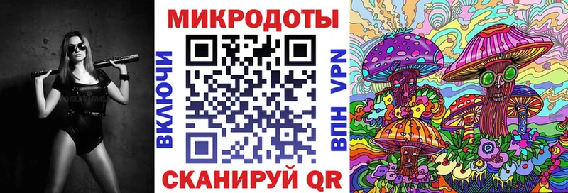 Псилоцибиновые грибы Cubensis  Пугачёв 